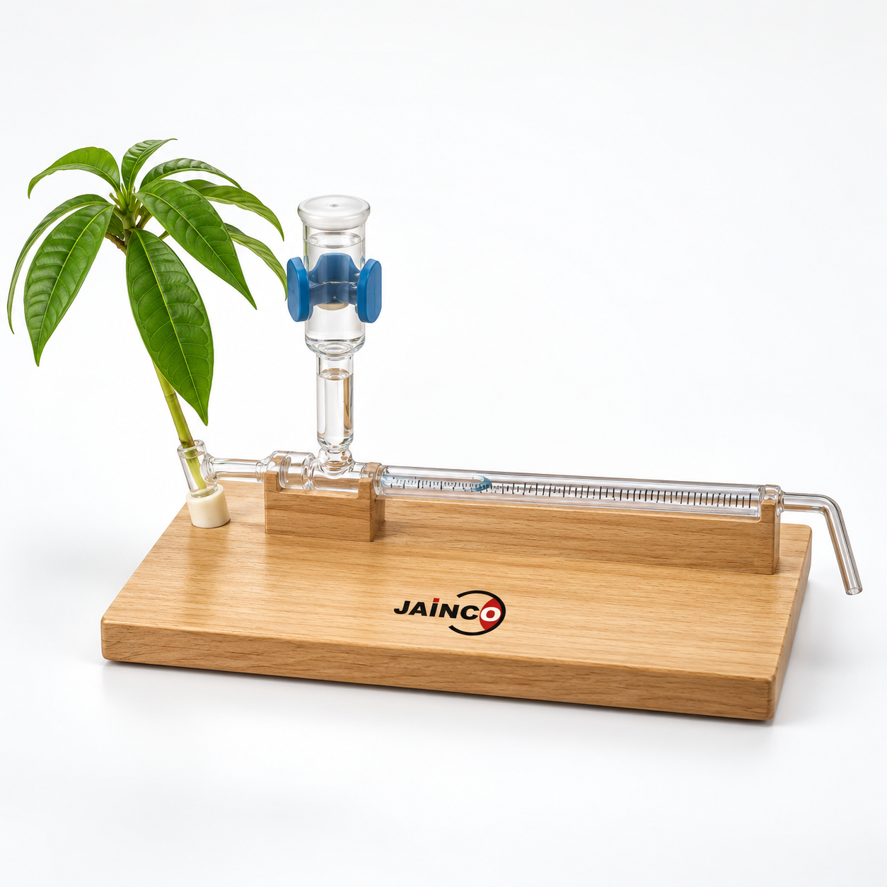 Kit for Demonstration of Transpiration in Plants